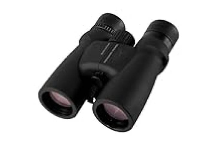 Paralux 03-2322-1 Jumelles étanche Zoom 8 x 42 Noir