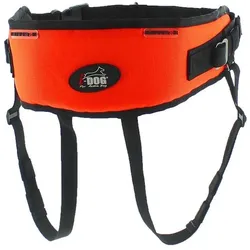 i-DOG One Light (One Size, Hund, Allgemein, Hundesport), Halsband + Leine