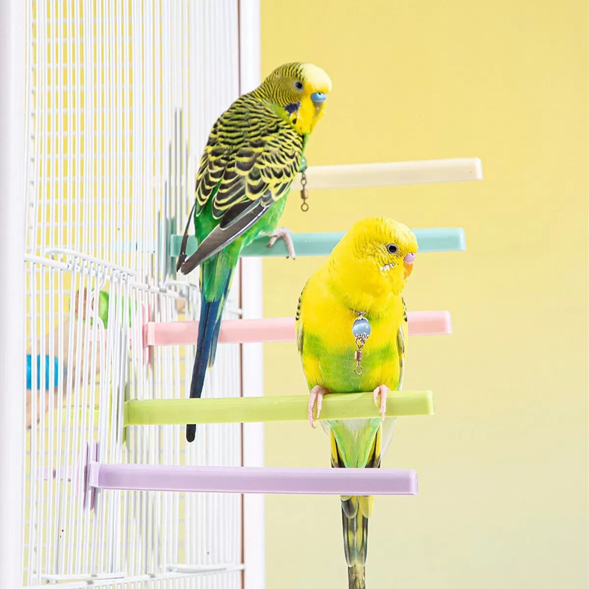 INF 5 Stück Kunststoff Vogelstangen - Vogelkäfig Zubehör für Wellensittiche, Finken und Papageien