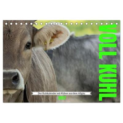 Voll kuhl - der Kuhkalender mit Kühen aus dem Allgäu (Tischkalender 2027 DIN A5 quer), CALVENDO Monatskalender