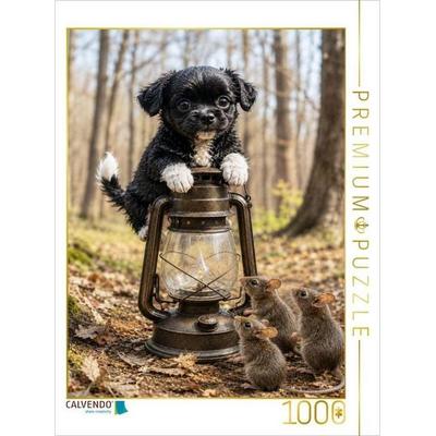 CALVENDO Puzzle Das Licht im Wald | 1000 Teile Lege-Größe 64x48cm Foto-Puzzle für glückliche Stunden
