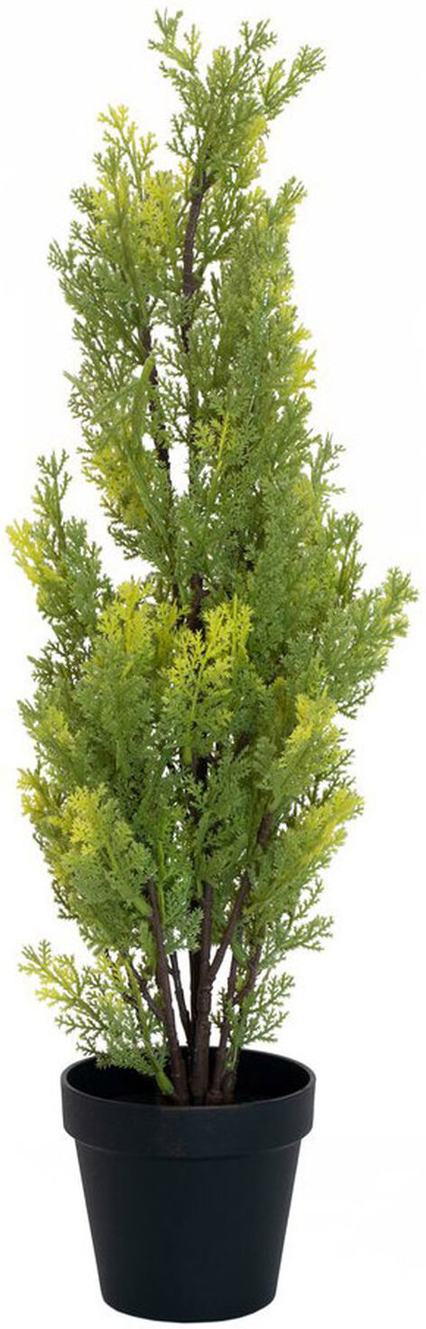 Europalms Zypresse, Leyland, 60cm