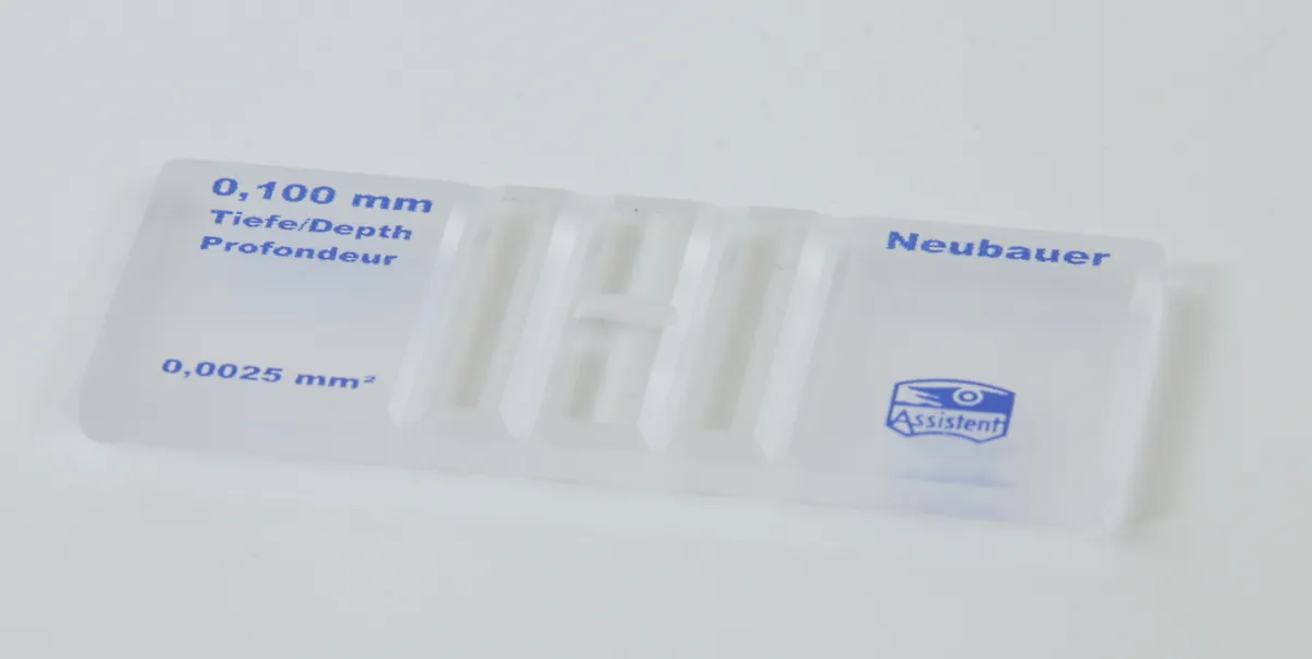Glaswarenfabrik Karl Hecht GmbH & Co KG Zählkammer nach Neubauer mit doppelter Netzteilung 1080340
