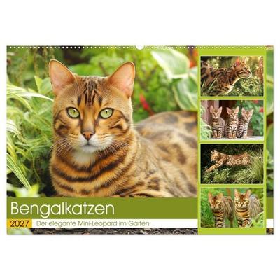 Bengalkatzen. Der elegante Mini-Leopard im Garten (Wandkalender 2027 DIN A2 quer), CALVENDO Monatskalender