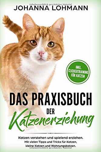 Johanna Lohmann - Das Praxisbuch der Katzenerziehung: Katzen verstehen und spielend erziehen. Mit vielen Tipps und Tricks für Katzen, kleine Katzen und Wohnungskatzen. - Preis vom 09.10.2026 07:28:09 h