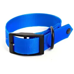 Martin Sellier Fluoreszierendes Hundehalsband für die Jagd (25, Hund), Halsband + Leine