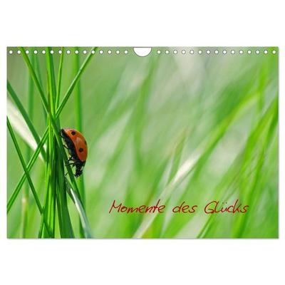 Momente des Glücks (Wandkalender 2026 DIN A4 quer), CALVENDO Monatskalender