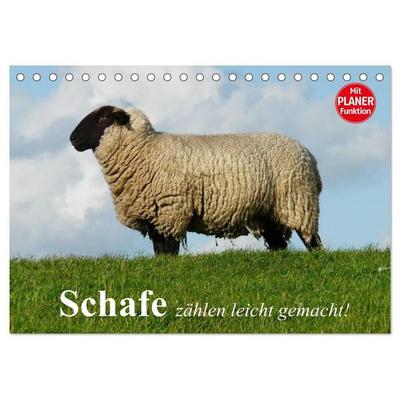 Schafe zählen leicht gemacht! (Tischkalender 2027 DIN A5 quer), CALVENDO Monatskalender