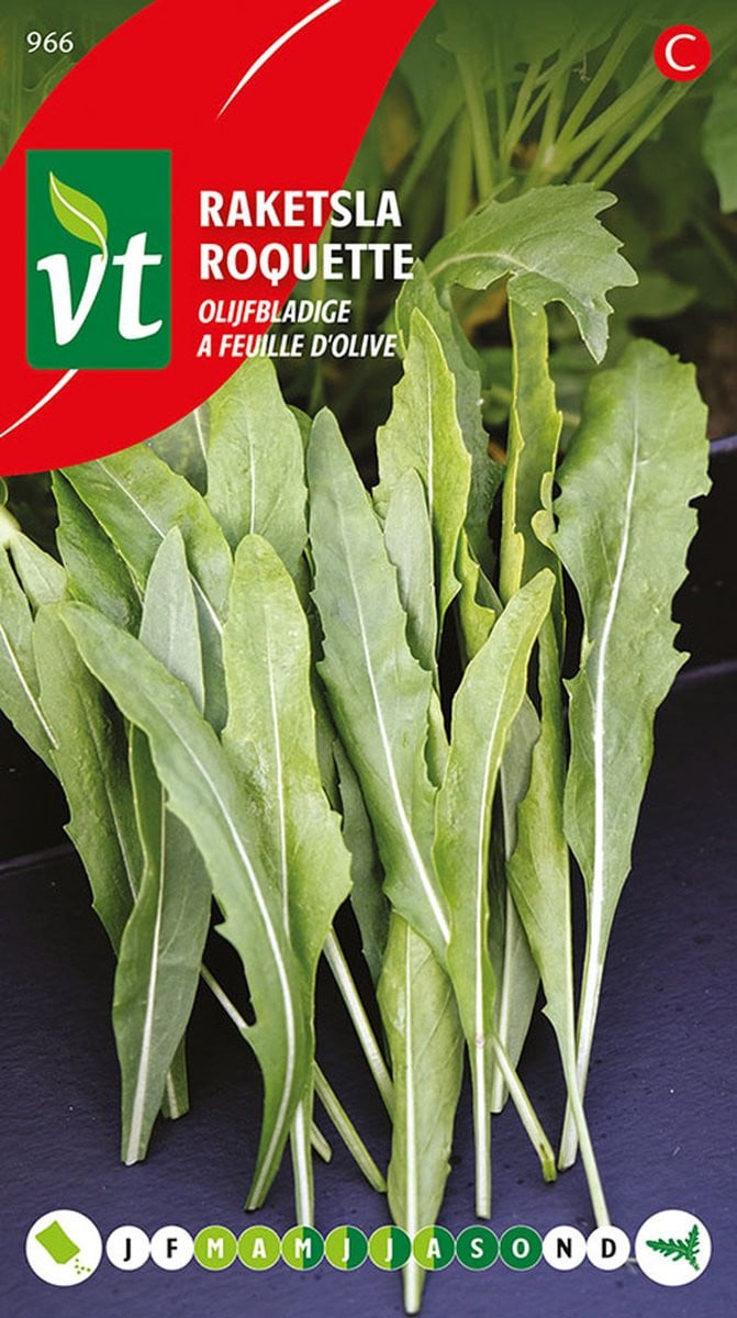 Raketsla Olijfbladige Zaden - Authentieke Italiaanse Rucola