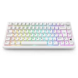 Sharkoon Tastatur Skiller SGK55W kabellos TKL 75% weiß Linear, DE-Layout