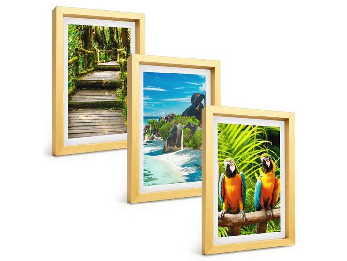 BILDER SET 3er Set - 20x30 cm Goldrahmen - Tropischer Wald Papageienwasserfall