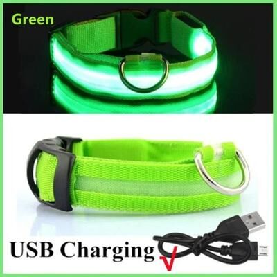 Uplift Essentials LED Glowing Dog Collar Adjustable Night Safety Luminous Collar green xs