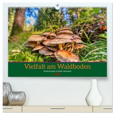 Vielfalt am Waldboden (hochwertiger Premium Wandkalender 2026 DIN A2 quer), Kunstdruck in Hochglanz