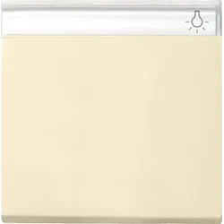 Gira Wippe Wechselsch. cws-gl 029901