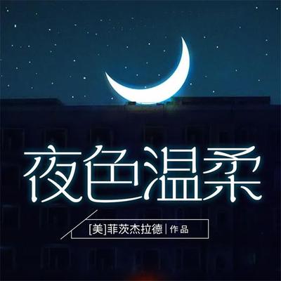 夜色温柔 - 菲茨杰拉, Audio, 4099995970746
