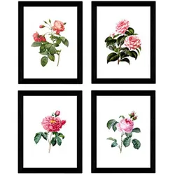 POSTER Set mit 4 Botanische Weiß Hintergrund Rosa Blumen A3 Rahmenlos