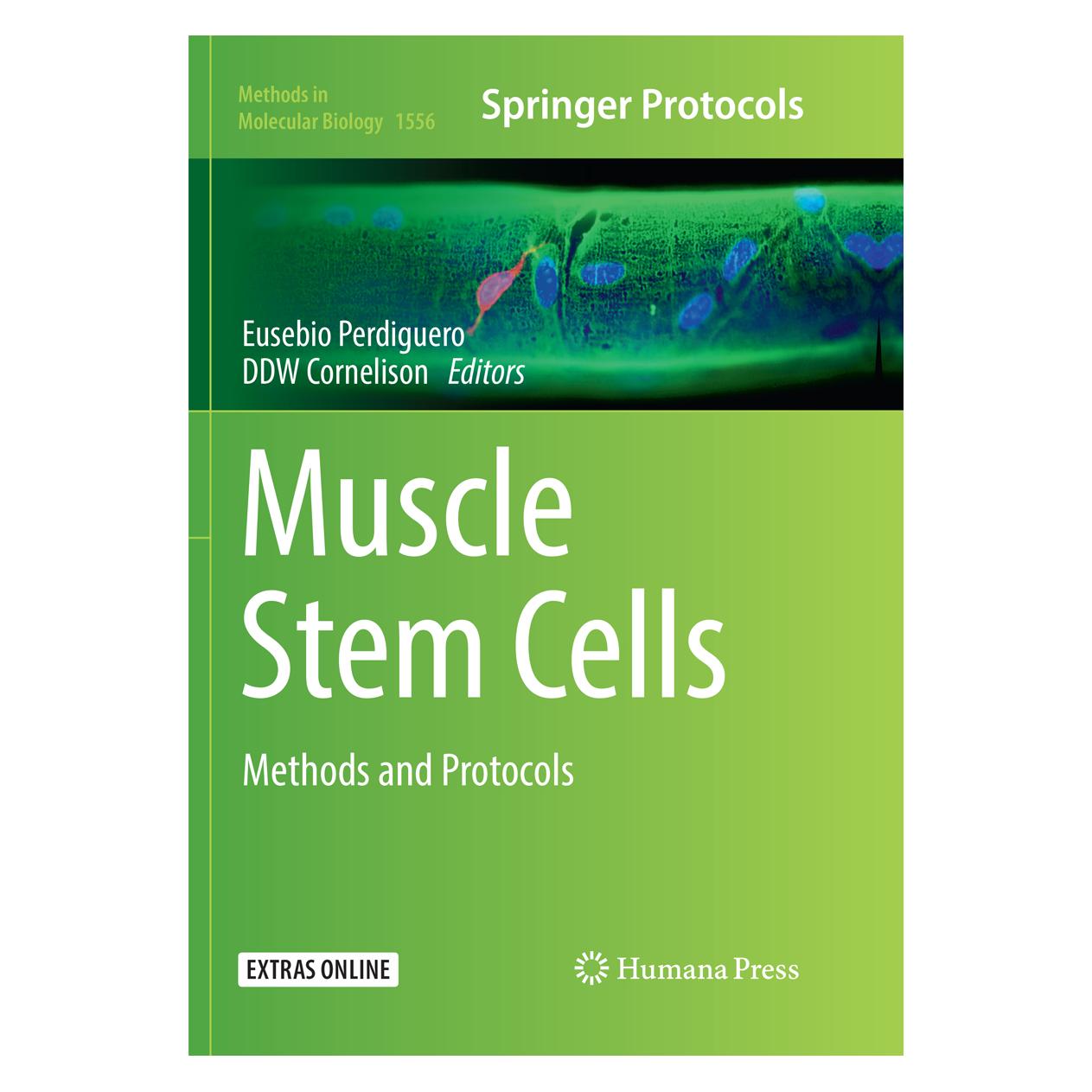 Springer Muscle Stem Cells (Englisch, Softcover, DDW Cornelison, Eusebio Perdiguero) (56002870)