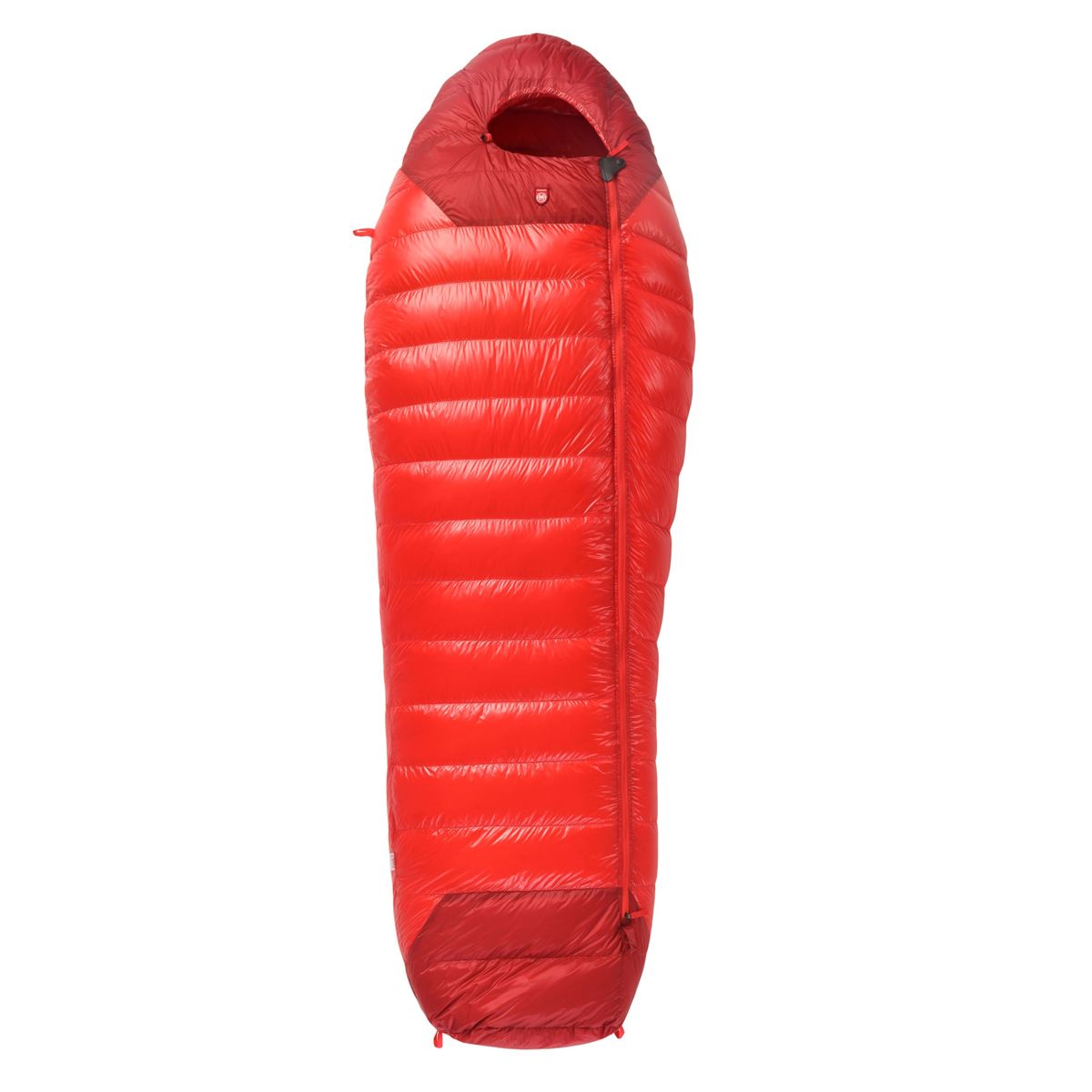 Pajak Radical 4Z red (RED) Short 5905669162197-RED-Short