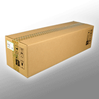 Ricoh Developer D2423091 schwarz OEM