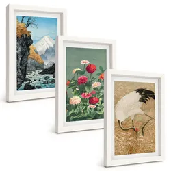 BILDER SET 3er Set - 20x30 cm Weißer Rahmen - Berglandschaft, Fluss, Blumen, Kraniche