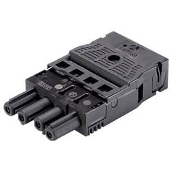 Wieland Electric 92.943.0053.1 Steckverbinder