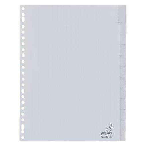 Kangaro Blanko Register DIN A4 12-teilig Karton 23 Löcher G412FM (G412FM)