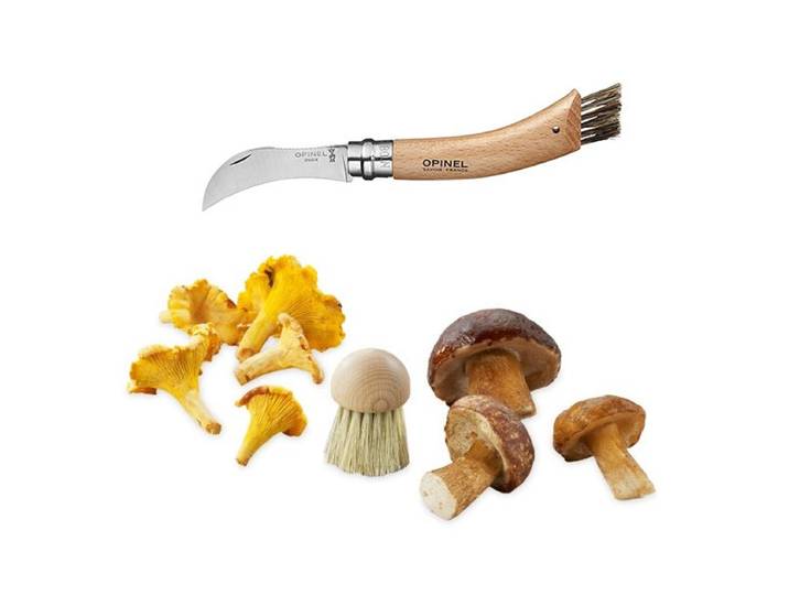 Lot brosse à champignons et couteau à champignons pliant N°8