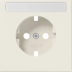 Jung Platte LS 1520 NAPL LS1520NAPL