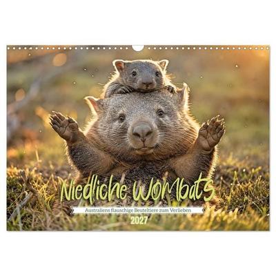Niedliche Wombats - Australiens flauschige Beuteltiere zum Verlieben (Wandkalender 2027 DIN A3 quer), CALVENDO Monatskalender
