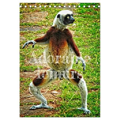 Adorable lemurs (Desk Calendar 2027 DIN A5 portrait), CALVENDO 12 Month DeskCalendar