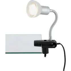 Briloner, Tischlampe, LED Klemmleuchte, titanfarbig-weiss, 1xLED/GU10/3W (250 lm, GU10)