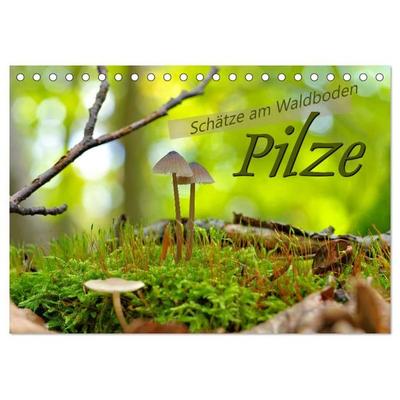 Pilze - Schätze am Waldboden (Tischkalender 2027 DIN A5 quer), CALVENDO Monatskalender