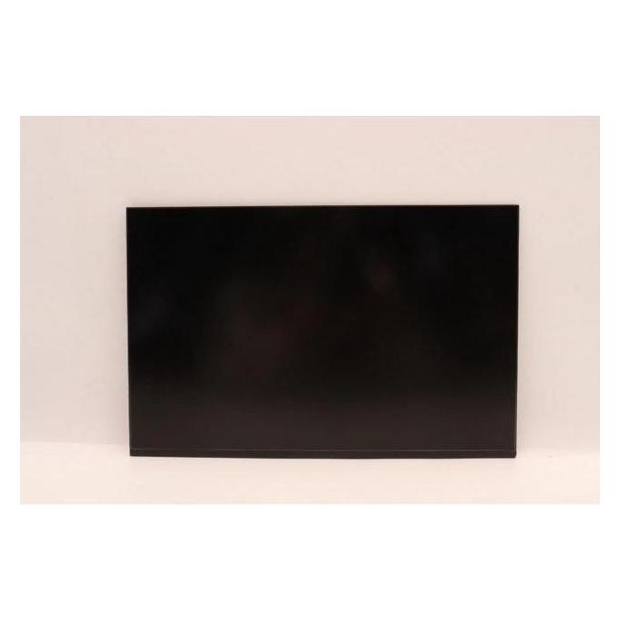 Lenovo DISPLAY Coretronic 14 WUXGA AG (5D11H45003)