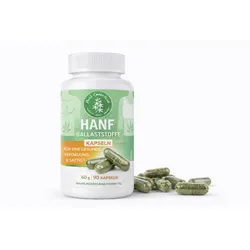 Hanf Gesundheit Hanfballaststoffe 90 Kapseln