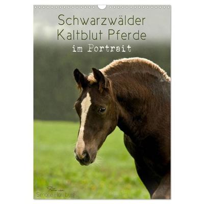 Schwarzwälder Kaltblut Pferde im Portrait (Wandkalender 2027 DIN A3 hoch), CALVENDO Monatskalender
