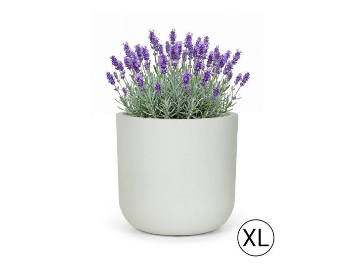 Mazovia Blumentopf Weiß Ecru Elegante XL 56x56x54 cm, Hellgrau, Kunststoff, Rund, 54 cm, Dekoration, Blumen & Blumentöpfe, Übertöpfe