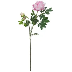 EUROPALMS Pfingstrosenzweig Premium, Kunstpflanze, pink, 100cm