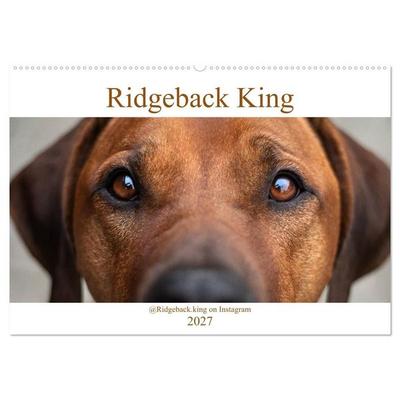 Ridgeback King (Wandkalender 2027 DIN A2 quer), CALVENDO Monatskalender
