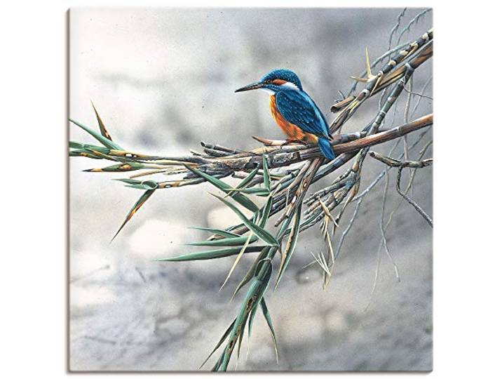 ARTLAND Wanddeko Leinwand Bilder Wandbild 50x50 cm Eisvogel Tiere Vögel Natur Landschaft Baum Kunst K7ZJ