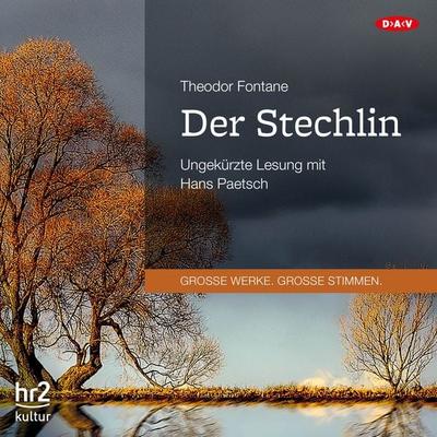 Der Stechlin - Theodor Fontane, Audio, 9783862317783