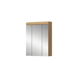 Spiegelschrank   ¦ verspiegelt ¦ Maße (cm): B: 60 H: 79