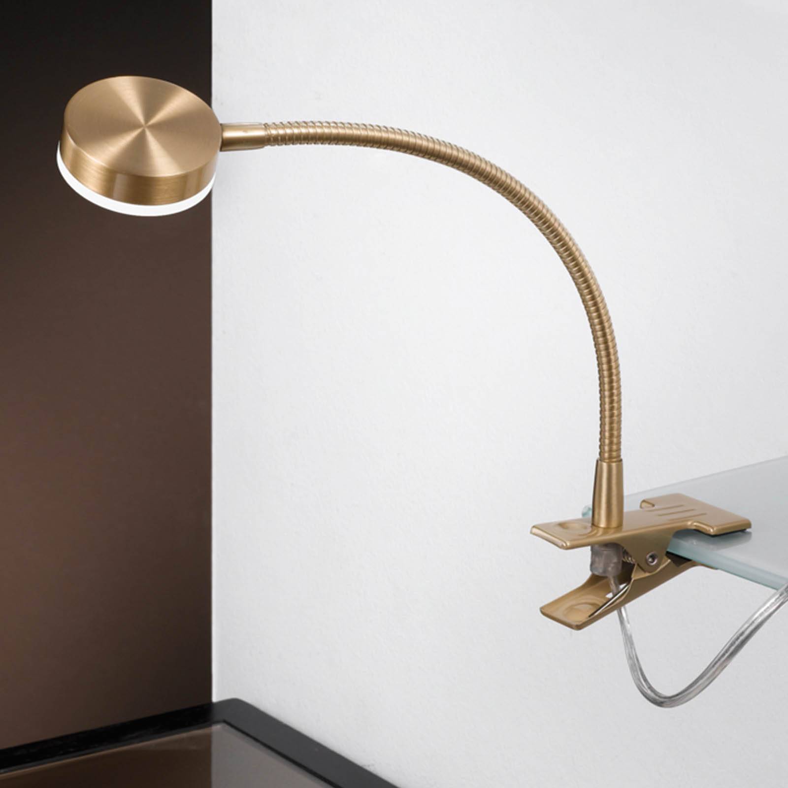 Orion Clip On Light Mira, Brass / gold, Workroom / Office, metal, Modern, Table Lamp