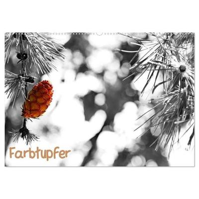 Farbtupfer (Wandkalender 2027 DIN A2 quer), CALVENDO Monatskalender