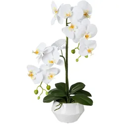 CREATIV green künstliche Pflanze Phalaenopsis in Keramiktopf, 52cm, weiß, Real Touch