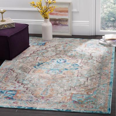 SAFAVIEH Aria Sophronia Vintage Boho Oriental Rug