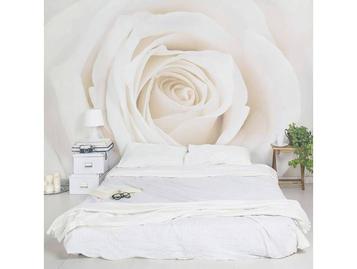 Vliestapete Pretty White Rose 336 x 225cm 336 x 225 cm