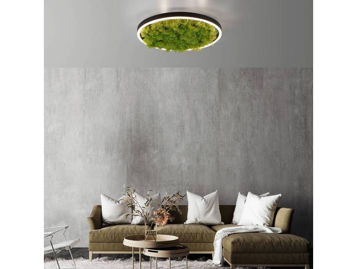 JUST LIGHT. GmbH LED Deckenleuchte Gerda Ritus, dimmbar, grün, für Wohn- / Esszimmer, Modern