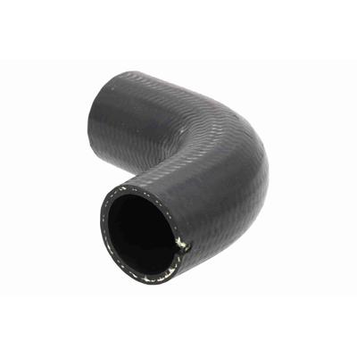 VAICO Kühlerschlauch V24-1593 für Fiat