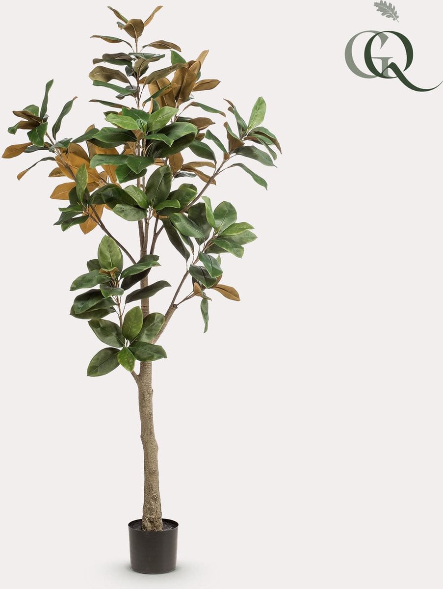 Kunstplant Magnolia Grandiflora met Abelia - 180 cm