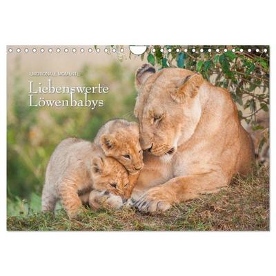 Emotionale Momente: Liebenswerte Löwenbabys (Wandkalender 2026 DIN A4 quer), CALVENDO Monatskalender